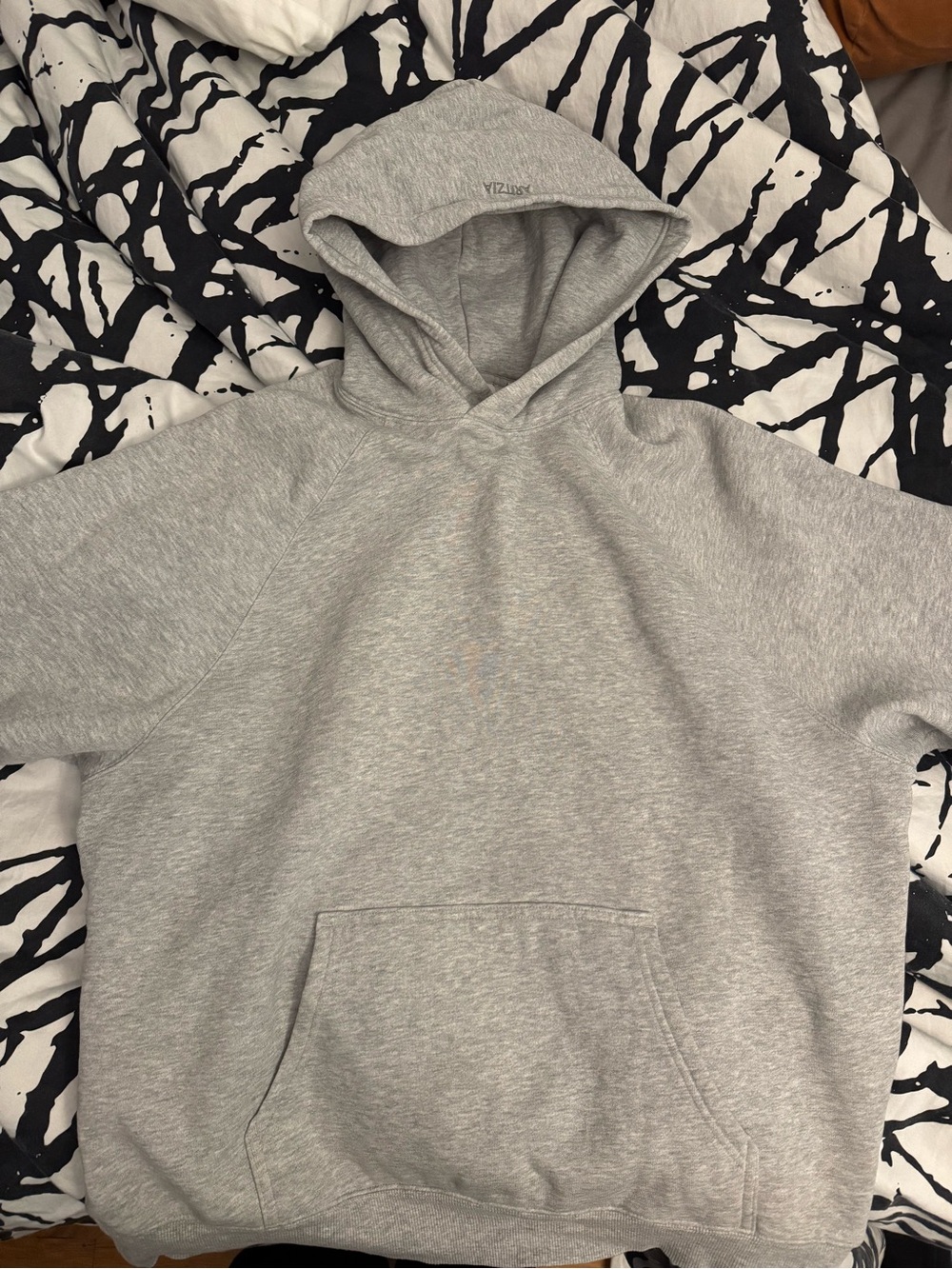 Aritzia Gray Hooded Sweatshirt